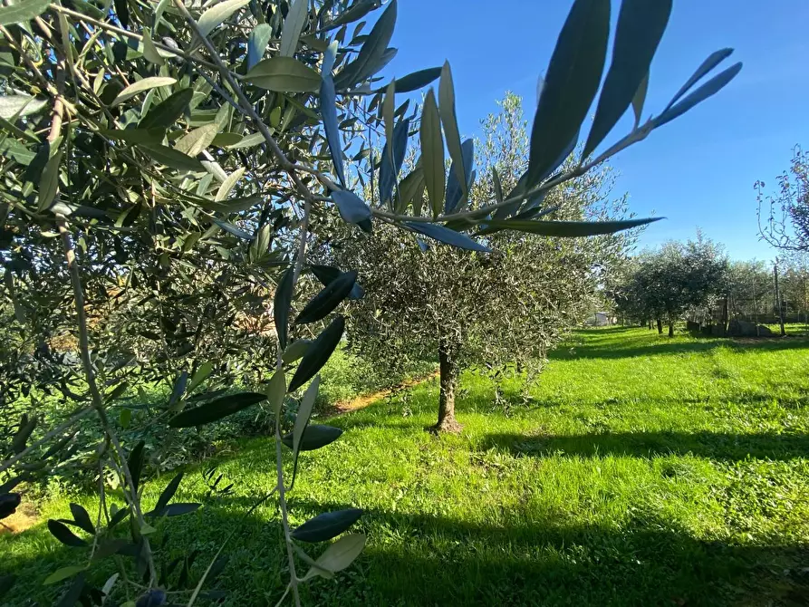 Immagine 25 di Villa in vendita  a Santa Maria A Monte