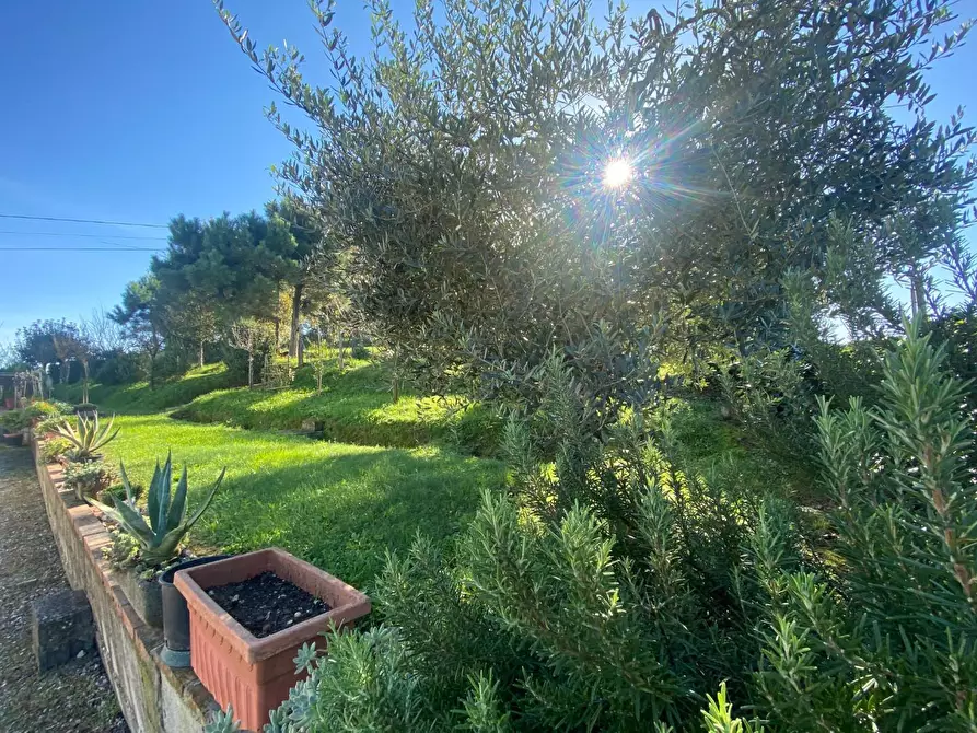 Immagine 5 di Villa in vendita  a Santa Maria A Monte