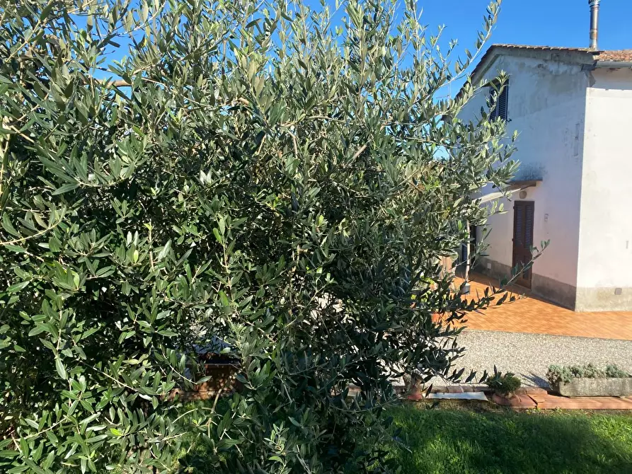 Immagine 4 di Villa in vendita  a Santa Maria A Monte