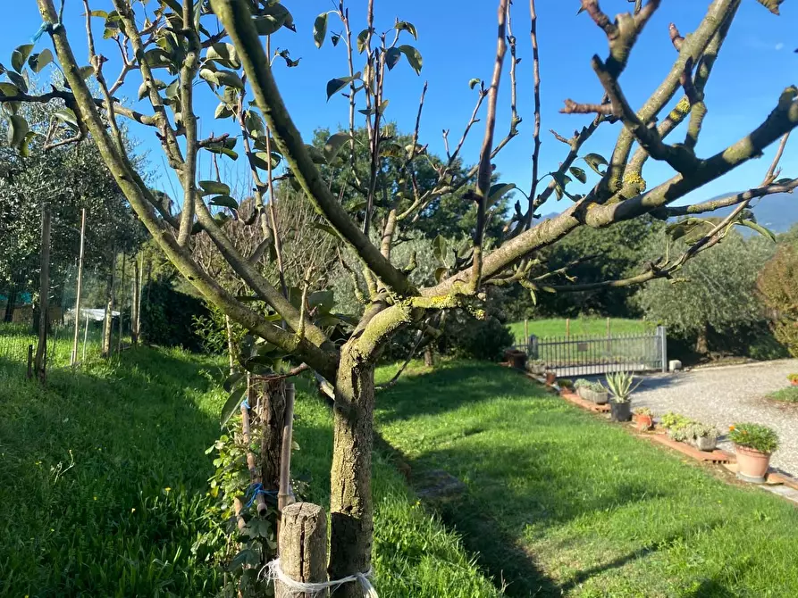 Immagine 2 di Villa in vendita  a Santa Maria A Monte