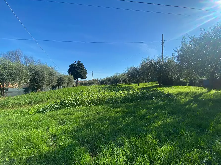 Immagine 6 di Villa in vendita  a Santa Maria A Monte