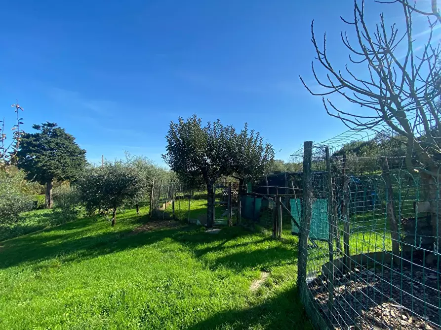 Immagine 23 di Villa in vendita  a Santa Maria A Monte