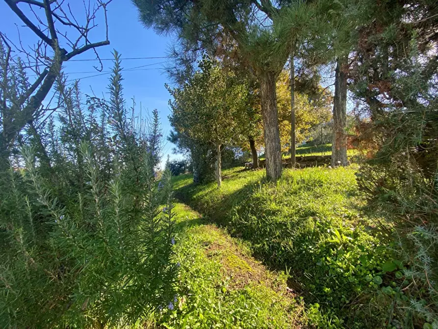 Immagine 8 di Villa in vendita  a Santa Maria A Monte