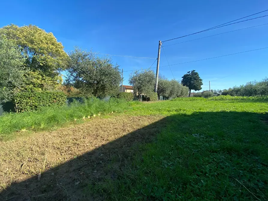 Immagine 24 di Villa in vendita  a Santa Maria A Monte