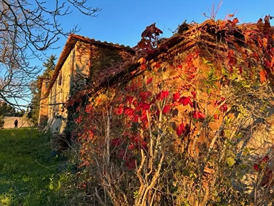 Immagine 1 di Casa indipendente in vendita  a Siena