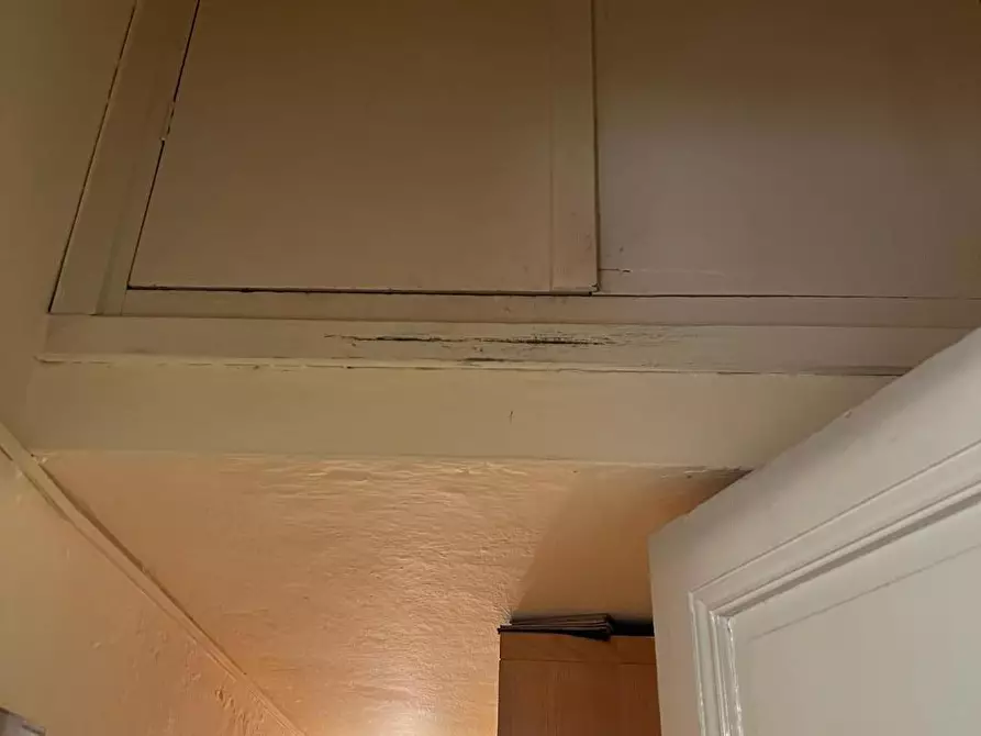 Immagine 21 di Appartamento in vendita  a Firenze