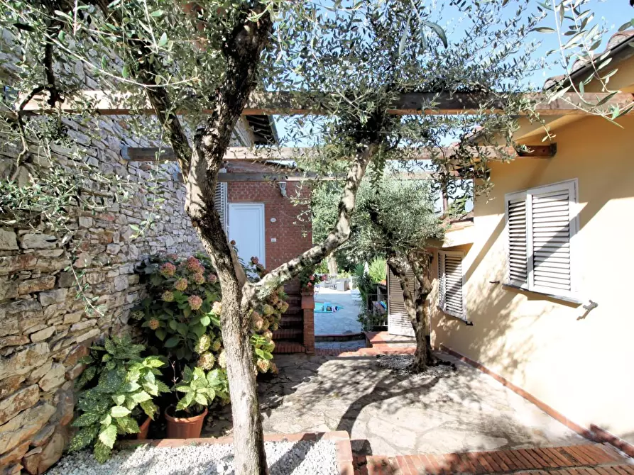 Immagine 6 di Villa in vendita  a Monsummano Terme