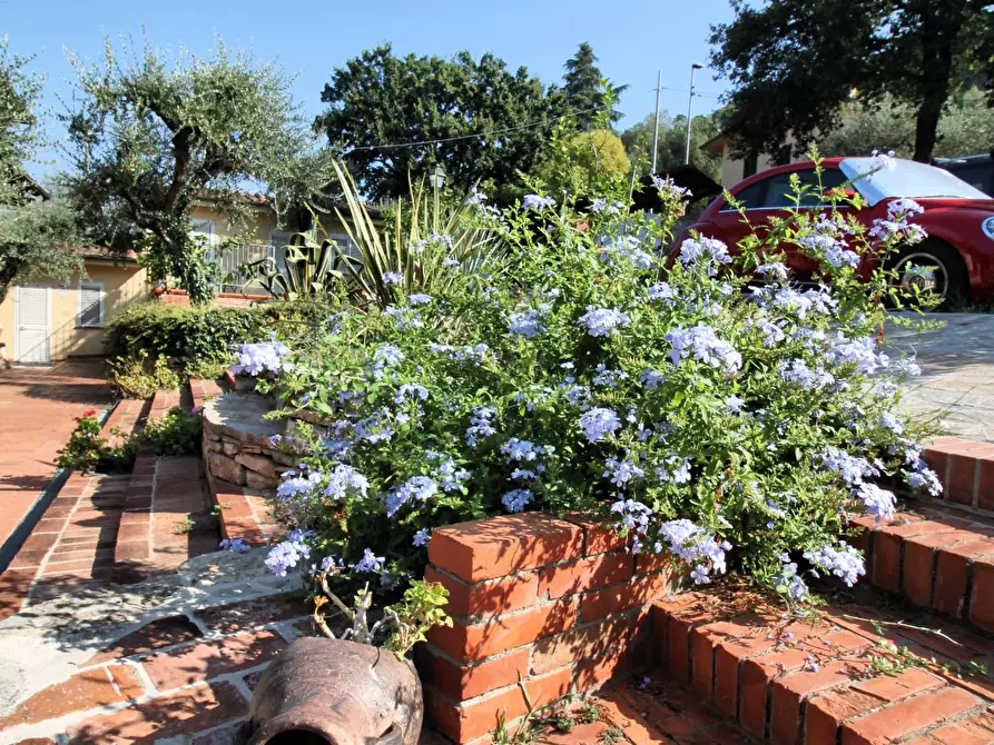 Immagine 26 di Villa in vendita  a Monsummano Terme