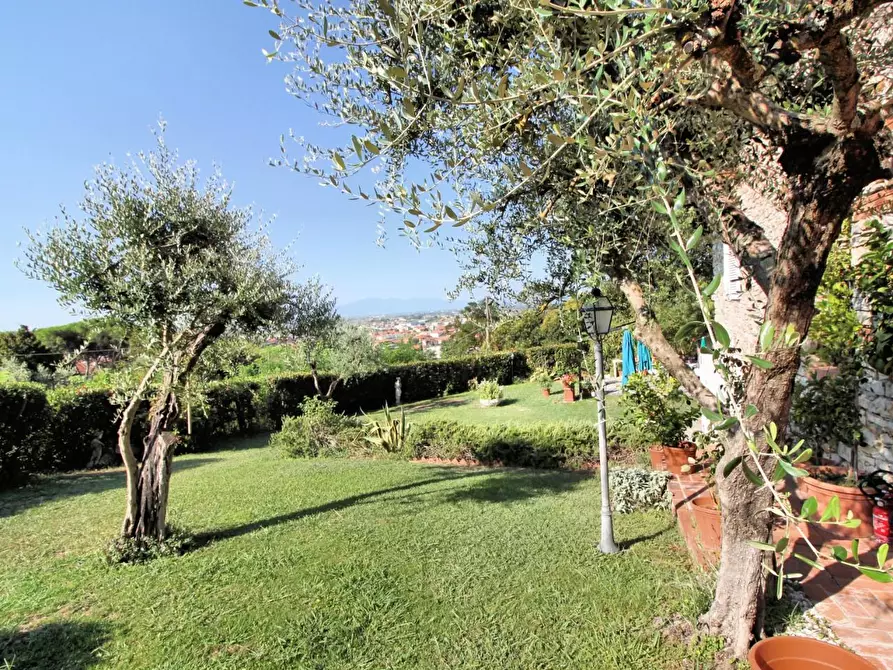 Immagine 16 di Villa in vendita  a Monsummano Terme