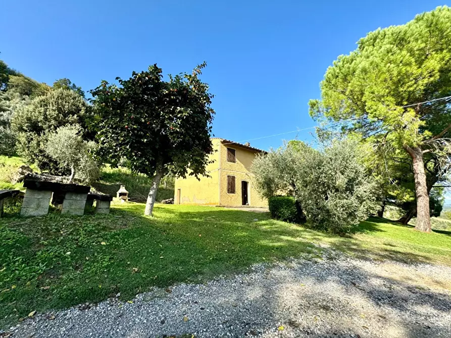 Immagine 1 di Casa colonica in vendita  a Castelfiorentino