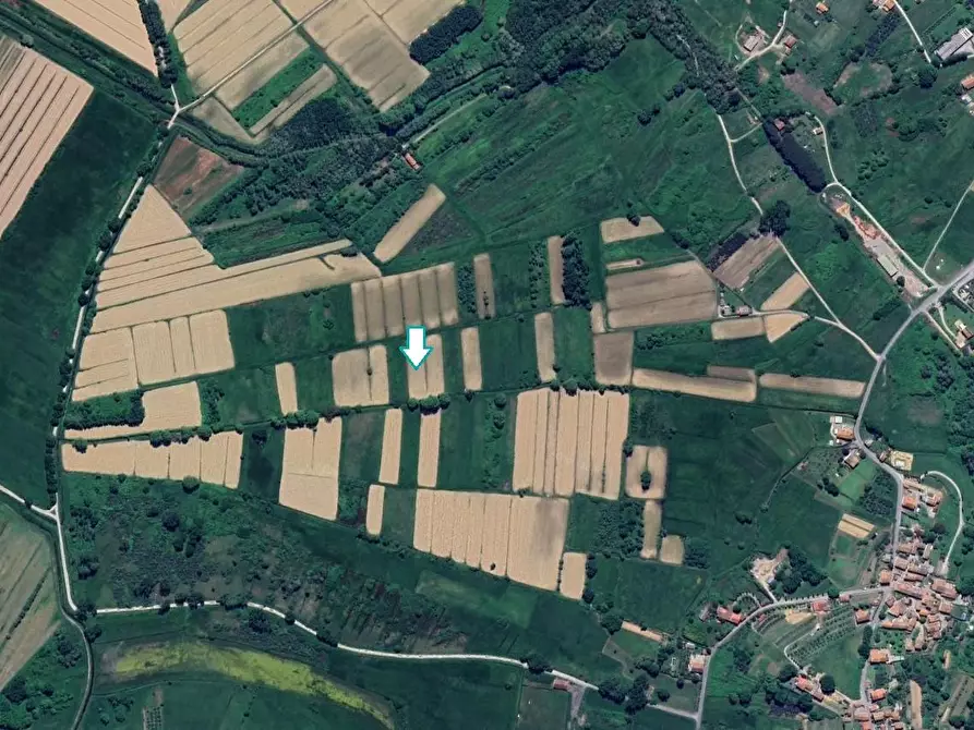 Immagine 1 di Terreno agricolo in vendita  a Capannori