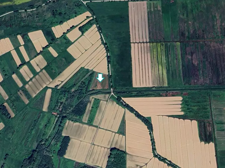 Immagine 1 di Terreno agricolo in vendita  a Capannori