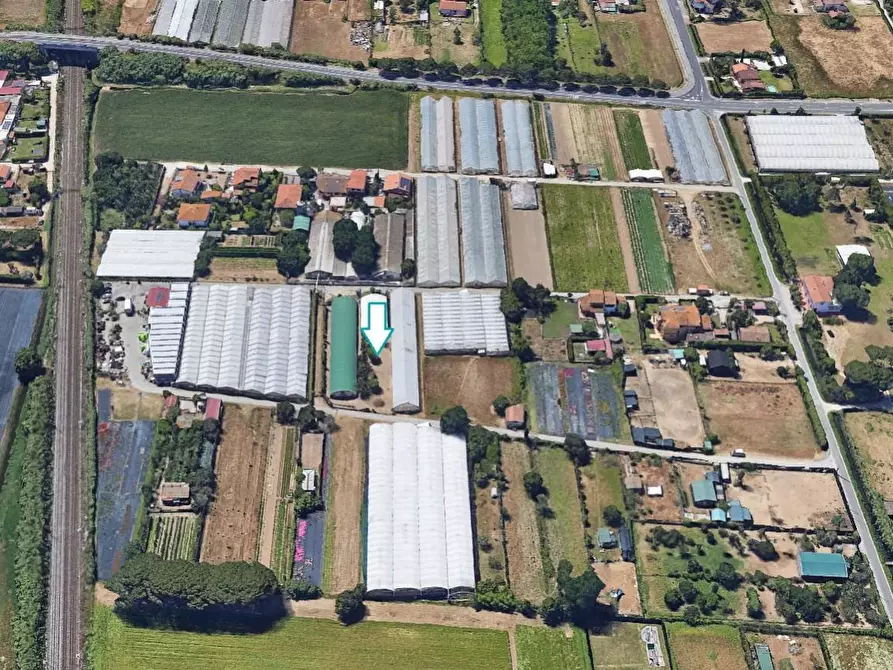 Immagine 1 di Terreno agricolo in vendita  a Viareggio