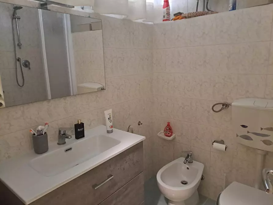 Immagine 8 di Appartamento in vendita  a Bibbona