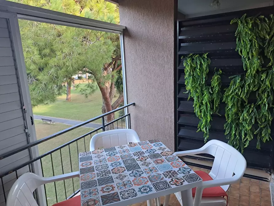 Immagine 6 di Appartamento in vendita  a Bibbona