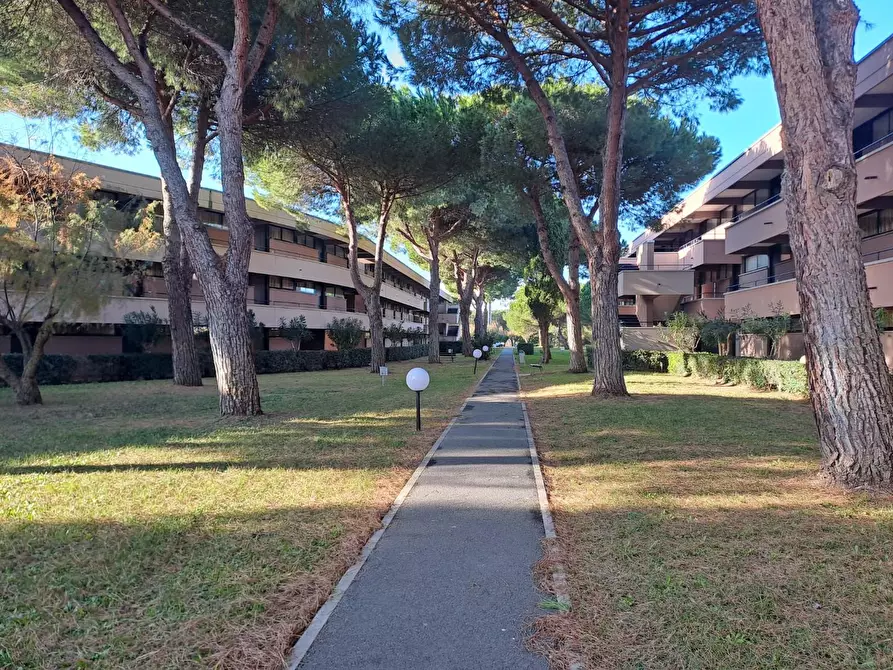 Immagine 9 di Appartamento in vendita  a Bibbona