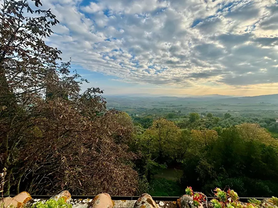 Immagine 11 di Casa colonica in vendita  a Chianni