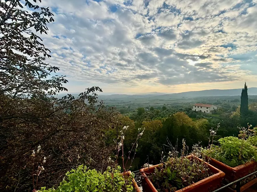 Immagine 10 di Casa colonica in vendita  a Chianni