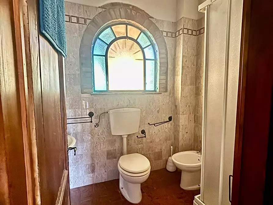 Immagine 17 di Casa colonica in vendita  a Chianni