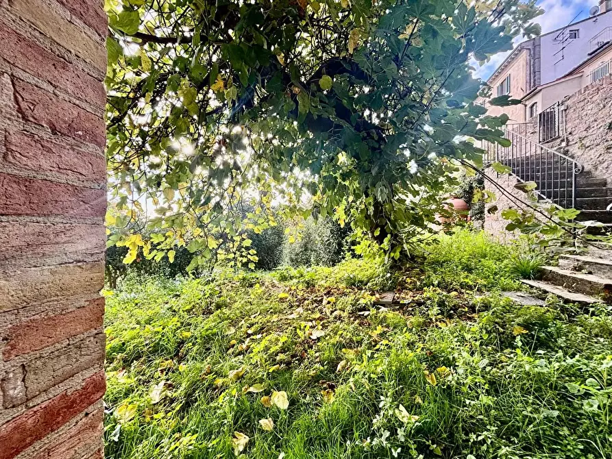 Immagine 7 di Casa colonica in vendita  a Chianni