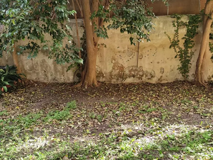 Immagine 7 di Appartamento in vendita  a Pisa