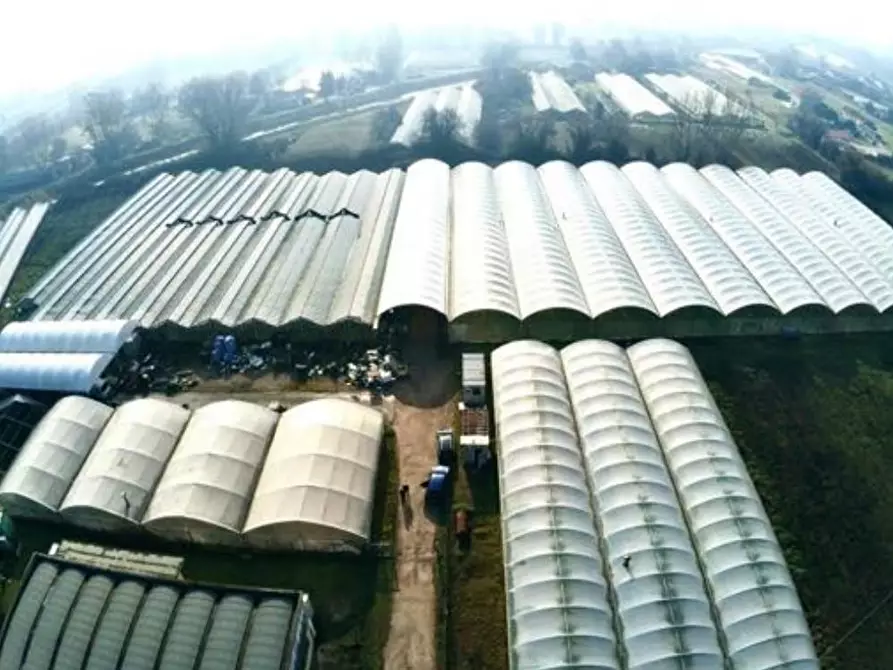 Immagine 1 di Terreno industriale in vendita  a Viareggio