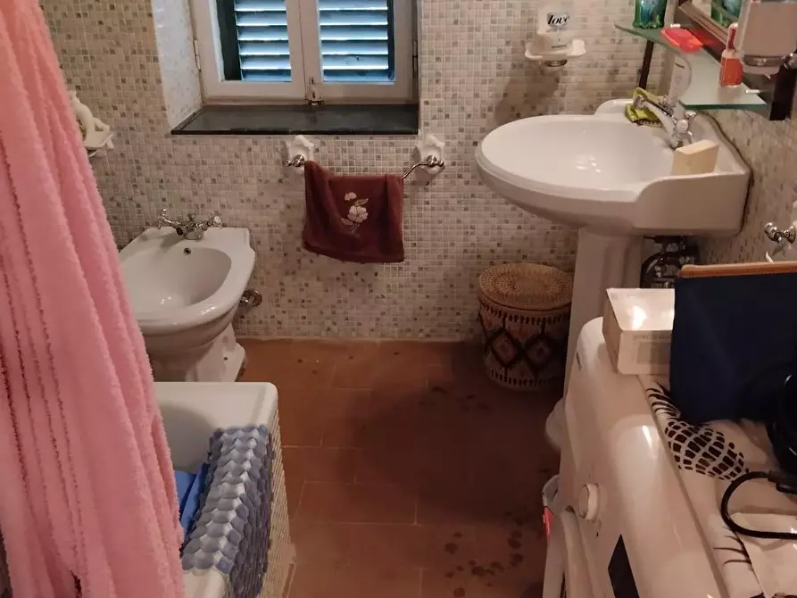 Immagine 24 di Appartamento in vendita  a Castagneto Carducci