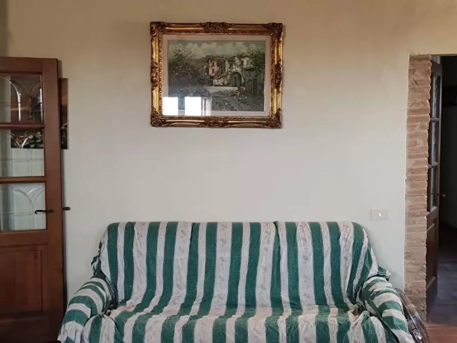 Immagine 11 di Appartamento in vendita  a Castagneto Carducci