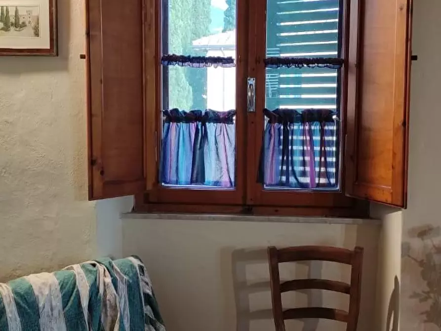 Immagine 10 di Appartamento in vendita  a Castagneto Carducci