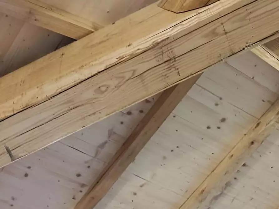 Immagine 21 di Appartamento in vendita  a Castagneto Carducci