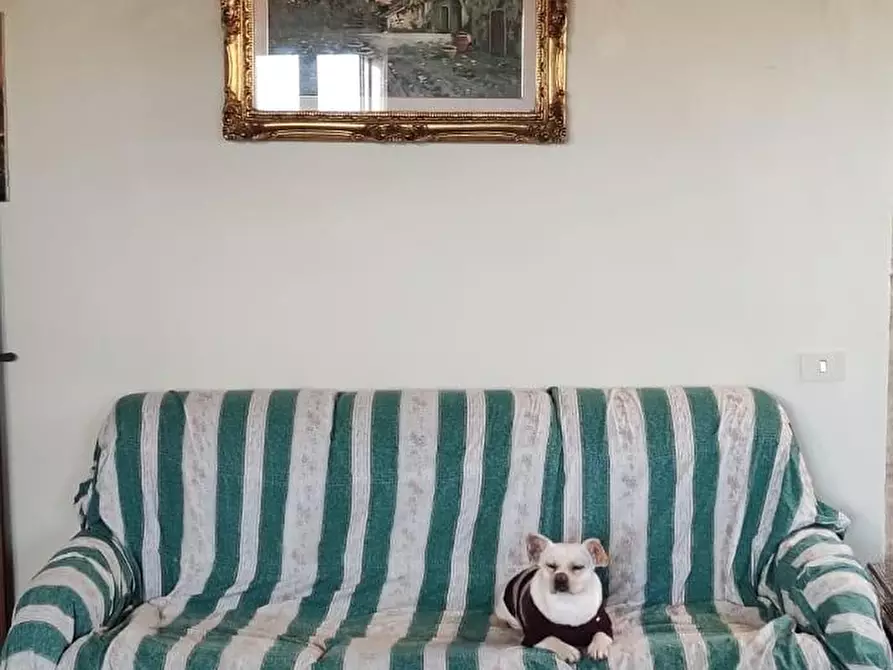 Immagine 9 di Appartamento in vendita  a Castagneto Carducci