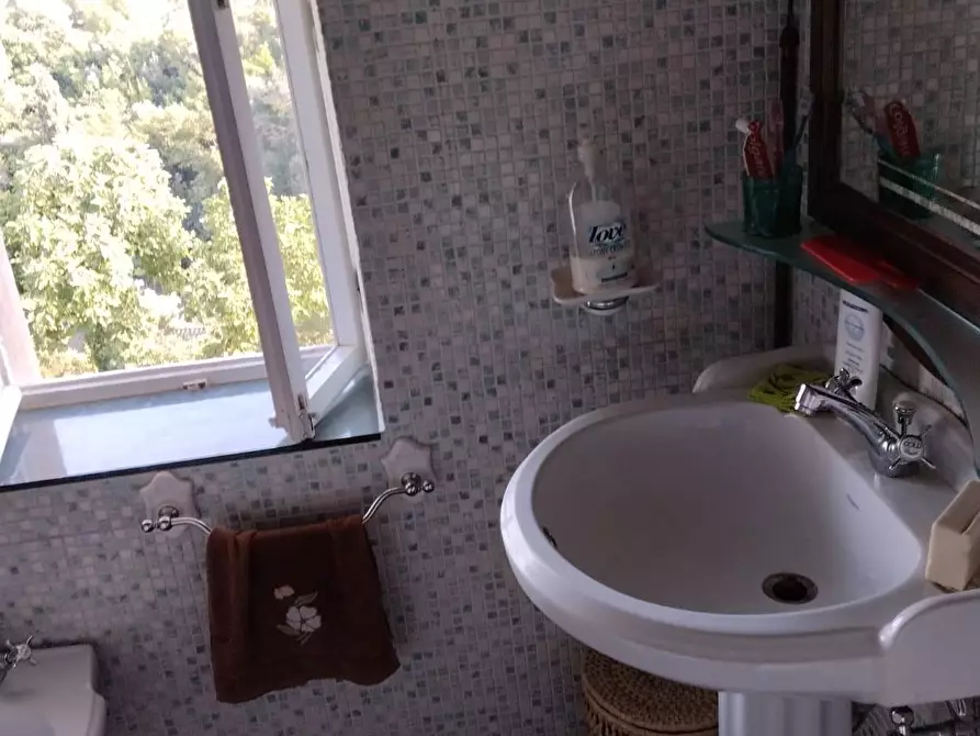 Immagine 23 di Appartamento in vendita  a Castagneto Carducci