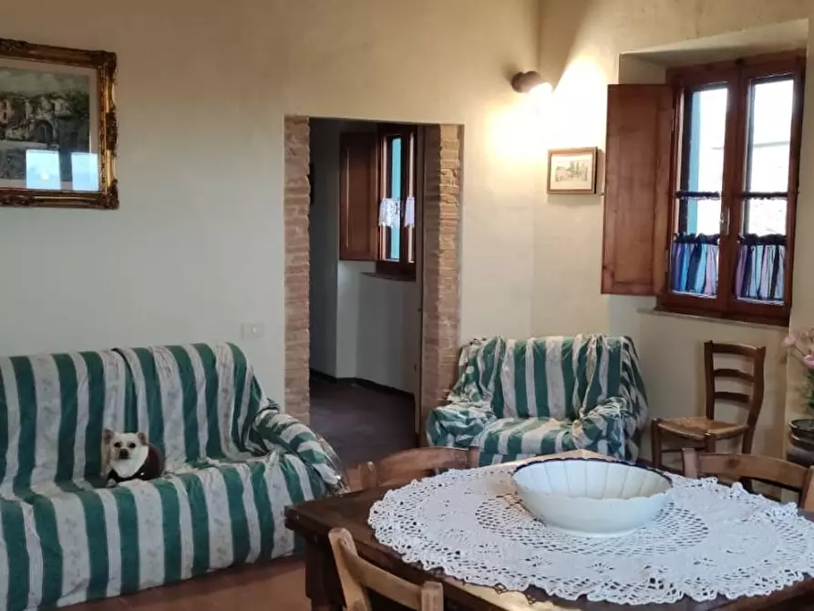 Immagine 5 di Appartamento in vendita  a Castagneto Carducci