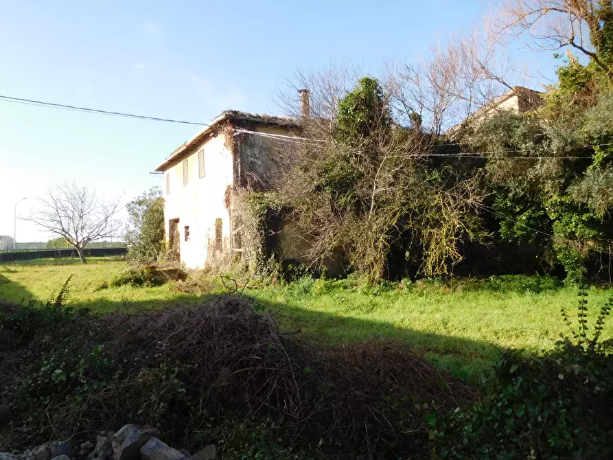 Immagine 5 di Casa colonica in vendita  a Vecchiano