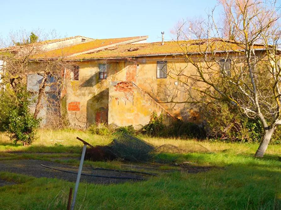 Immagine 4 di Casa colonica in vendita  a Vecchiano