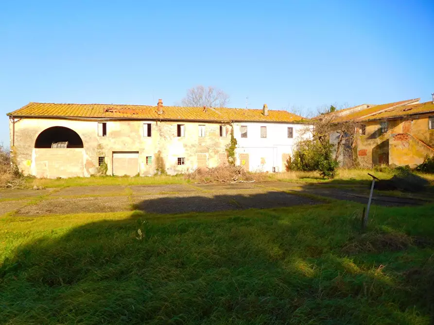 Immagine 2 di Casa colonica in vendita  a Vecchiano