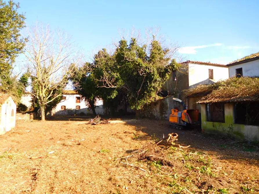 Immagine 11 di Casa colonica in vendita  a Vecchiano