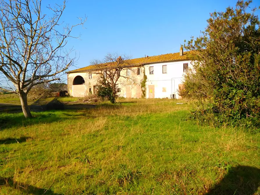 Immagine 1 di Casa colonica in vendita  a Vecchiano