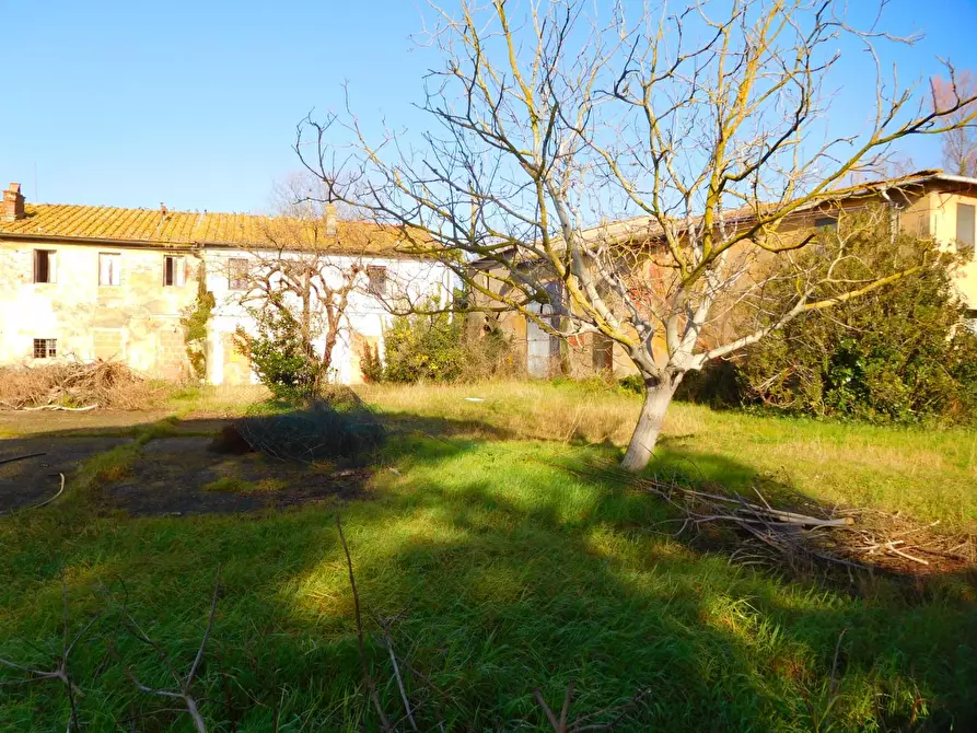 Immagine 3 di Casa colonica in vendita  a Vecchiano