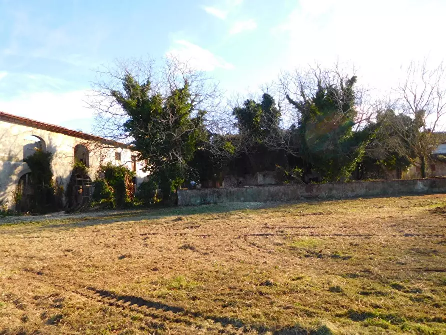 Immagine 9 di Casa colonica in vendita  a Vecchiano