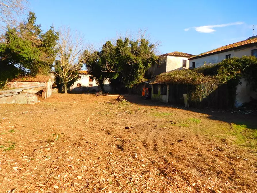 Immagine 10 di Casa colonica in vendita  a Vecchiano