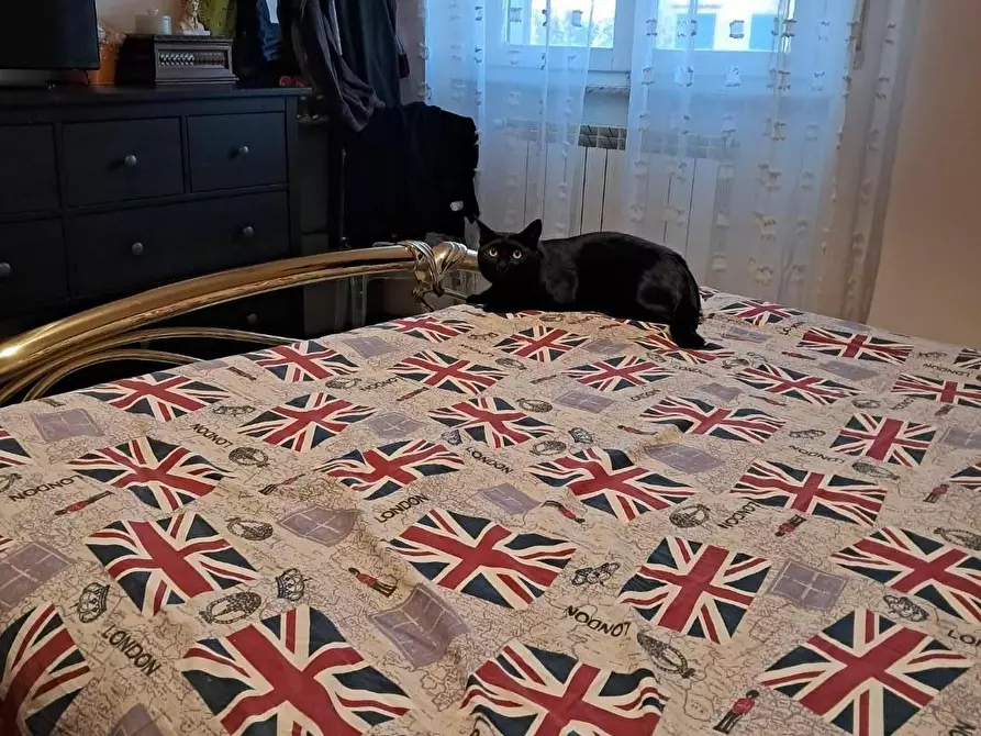 Immagine 9 di Appartamento in vendita  a Cascina