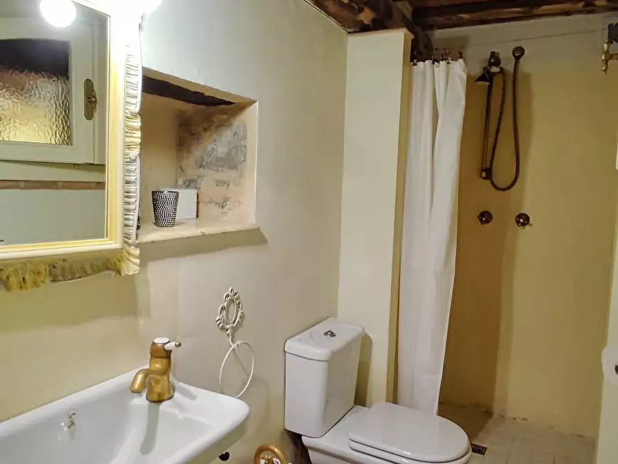 Immagine 10 di Rustico / casale in vendita  a Camaiore