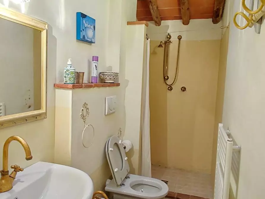 Immagine 5 di Rustico / casale in vendita  a Camaiore