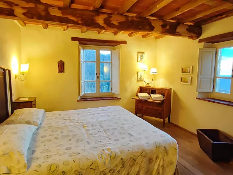 Immagine 19 di Rustico / casale in vendita  a Camaiore