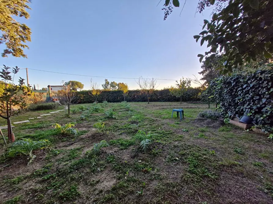 Immagine 17 di Porzione di casa in vendita  a Piombino