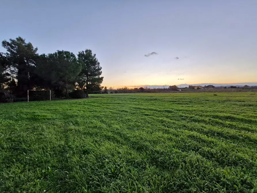 Immagine 36 di Porzione di casa in vendita  a Piombino