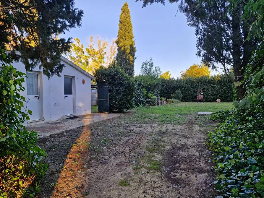 Immagine 5 di Porzione di casa in vendita  a Piombino