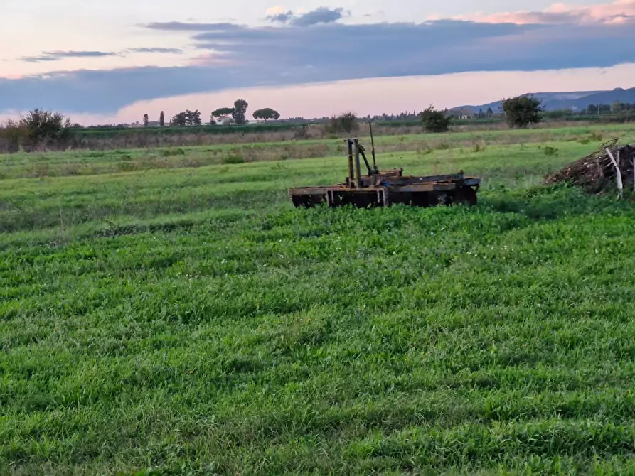 Immagine 38 di Porzione di casa in vendita  a Piombino