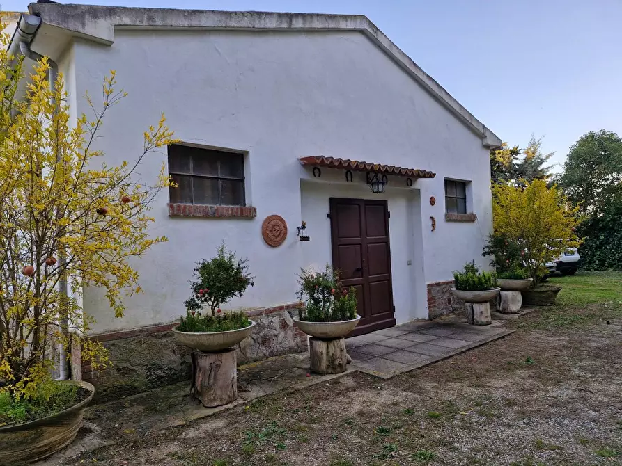 Immagine 12 di Porzione di casa in vendita  a Piombino